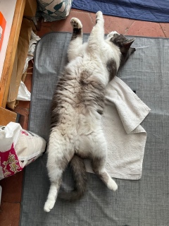 �ւ��V