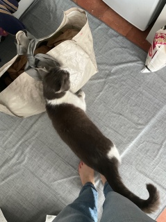 �}���V�F����A������