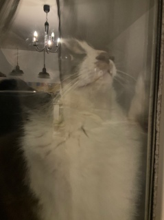 �����V���J�V���J