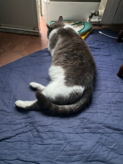 �������ė��邯�ǂ����ꂽ���Ȃ�