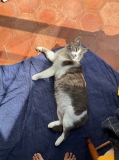 �������ɂ����ӂ�������