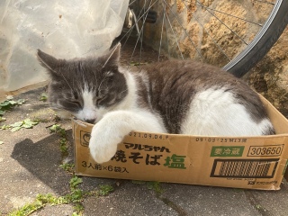 �˂ނ˂ނ����