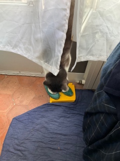 4��29��(��) ������L���