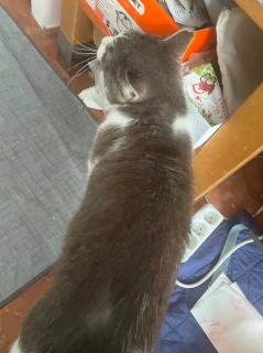 4��30��(�y) ������j���[