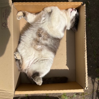���J���Ă܂���