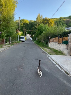 �M��ȏo�}��