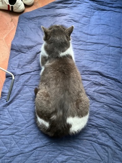 �����ɓ����