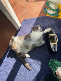 ���܂ɂ��Y���