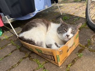 �ˁ[���͏o�΂ł�
