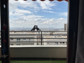 �t�����X���ۂ����̕v�w