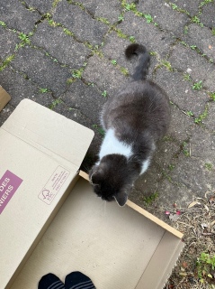�i�{�[���x�b�h�ɂ�����܂��Ă܂�