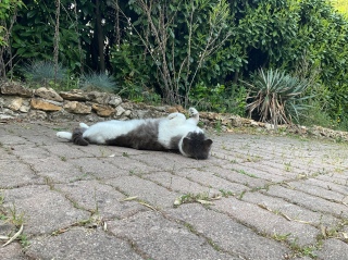 �ˁ[���ɂ����肷��