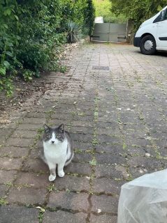 �j���[