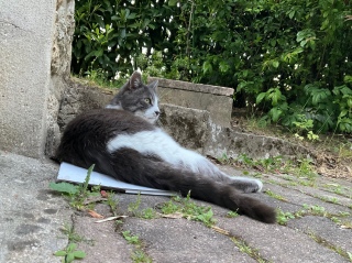 �[����