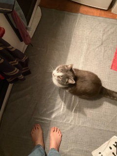 5��15��(��) �[��̔L���