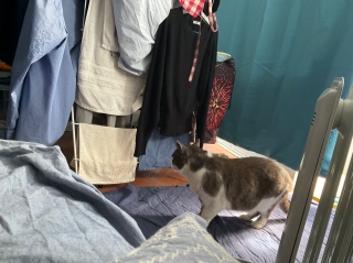�������肵������