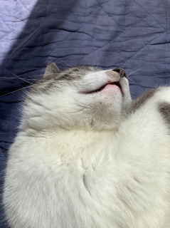 �゠��