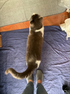 5��18��(��) �j���[�I