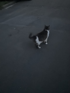 �擱����L���