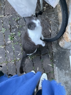 �߂��炵�����Ƃ��Ƃ�