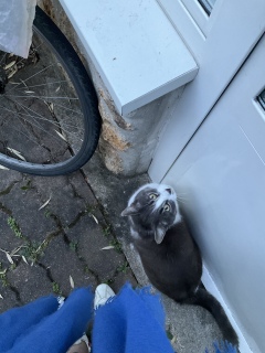 �j���[�I