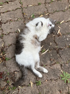 ���ː_�o��b����ˁ[�������