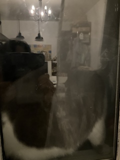 �����������L���