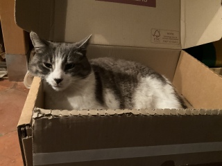 ����i�{�[���x�b�h��