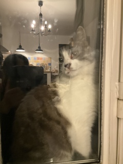 �܂����ӂɓo��