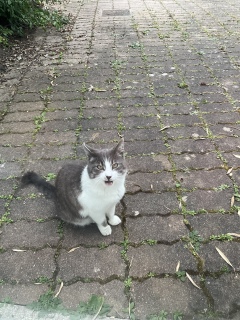 5��24��(��) ��Ȃ߂���