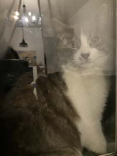 5��25��(��) �[��̔L���