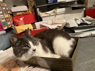 �܂��F���̔�