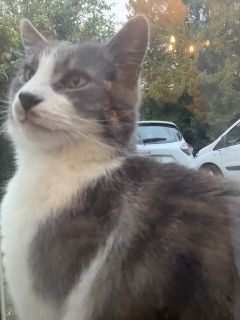 ���ꂩ��21���Ԍ�̔L���