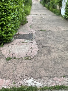 �悻�L�@��C��