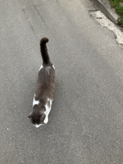 5��26��(��) �L����������