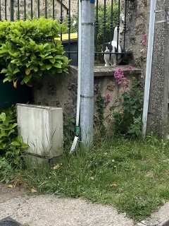 �悻�L�@��C��