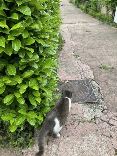 ���񂩂���Ƃ��Ă�