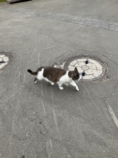 �X�^�X�^�ƋA��L���