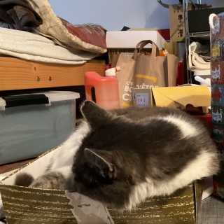 ���j�͔L���