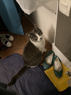 5��27��(��) �钆�̔L���