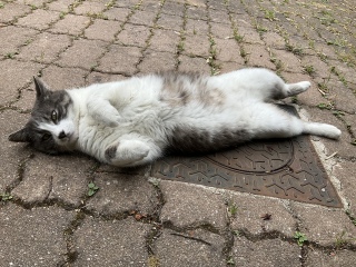 �ˁ[���͂��܂������󕨂������Ƃ��