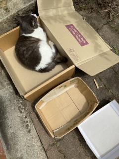 �����͑�x�b�h�̋C��