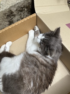 �����т����