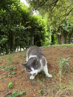 �ނ���ނ��ᑐ��H�ޔL���