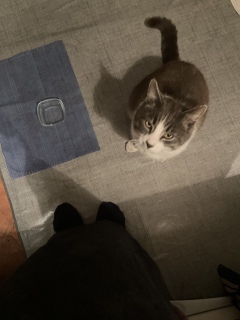 ����ԋA��