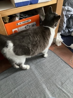 5��29��(��) �ˁ[���Z���T�[