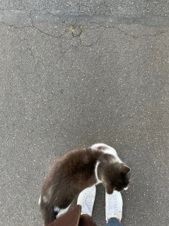 ܁[