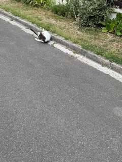ɂƓ]