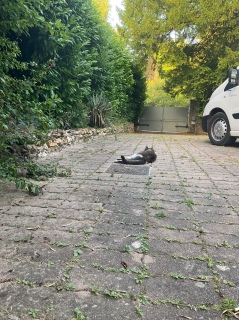 �O�ŗ��ޔL���