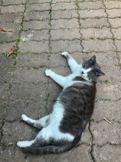 �[���݂�����܂���ˁ[��